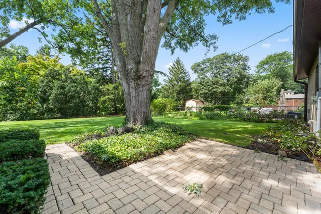 a view of a garden with a fountain