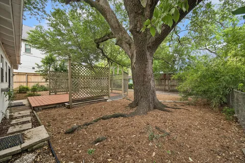 a view of a yard with a tree