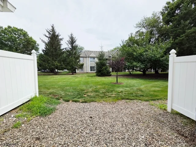a view of a park with a trees and plants