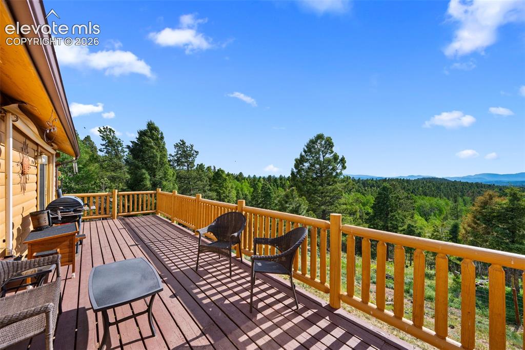 4269 Cedar Mountain Road Divide, CO 80814 - Photo 21 of 39 Back deck with amazing views