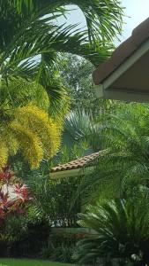 8769 Escondido Way East Boca Raton, FL 33433 - Photo 3 of 17 20160708_171239jpg