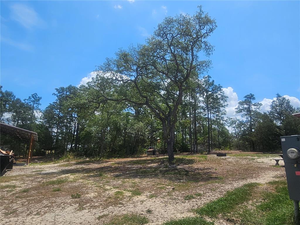 9172 Quivira Road Brooksville, FL 34613 - Photo 41 of 55