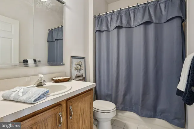 a view of a garden from a windows