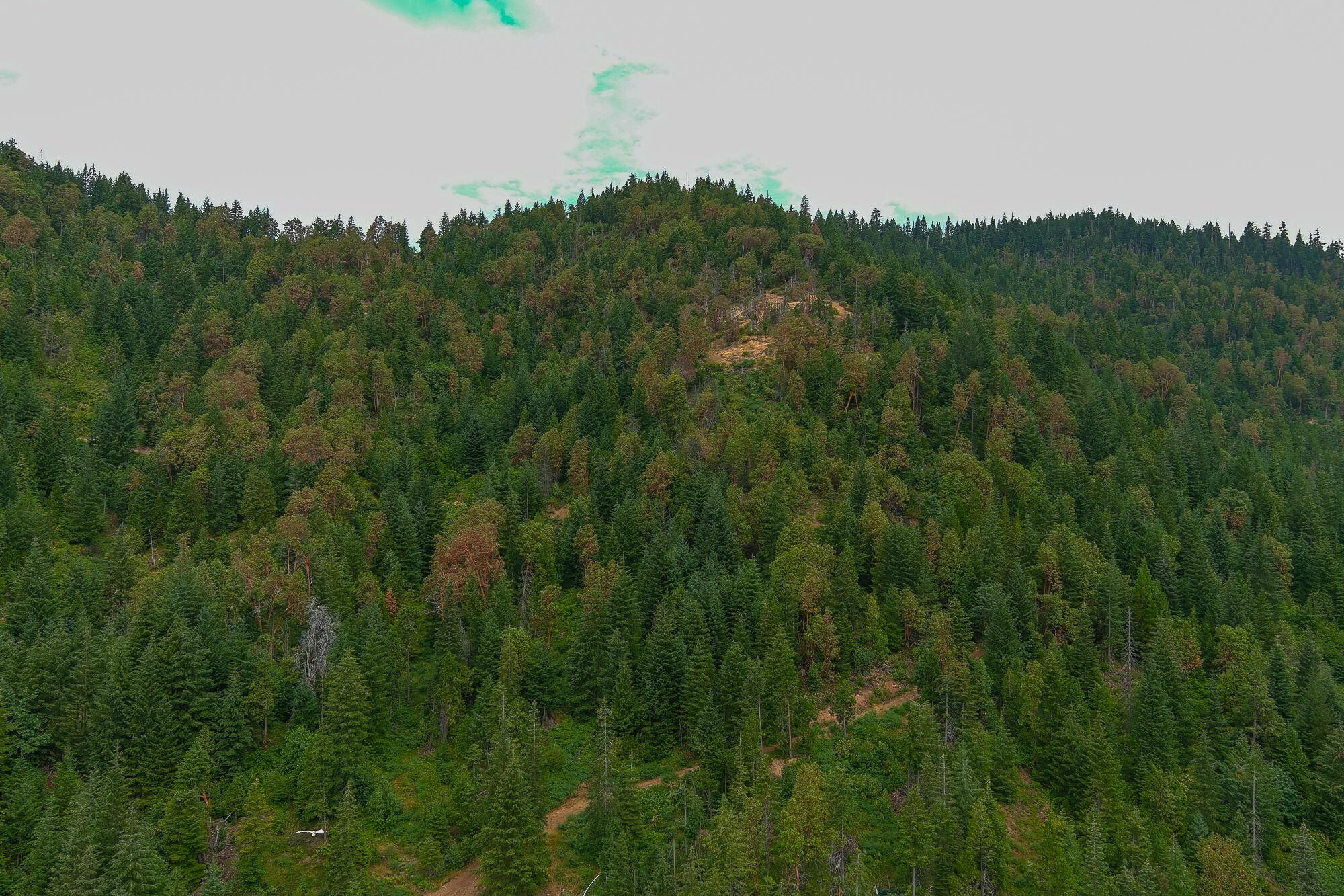 14083 Elk Creek Road Trail, OR 97541 - Photo 15 of 21 Pic 16