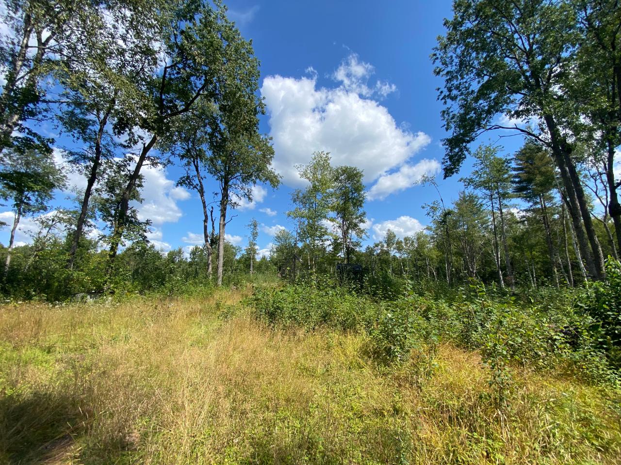 On Shooting Range Road Phelps, WI 54554 - Photo 6 of 17 Gallery Image 6
