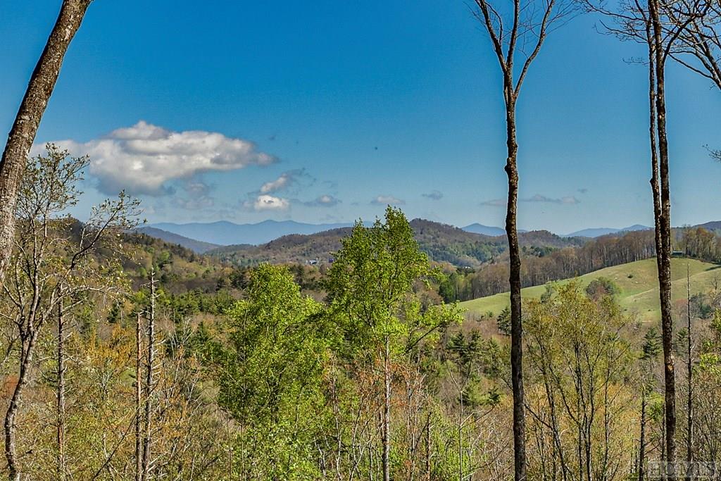 71 Springhead Trail Cullowhee, NC 28723 - Photo 63 of 72 Gallery Image 63
