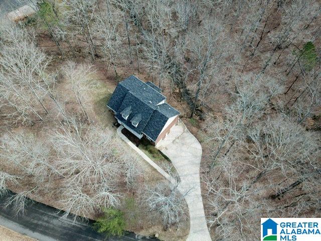 77 Slopes Drive Springville, AL 35146 - Photo 42 of 48
