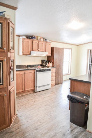 1077 Cady Road Union City, MI 49094 - Photo 6 of 19 DSC_0337