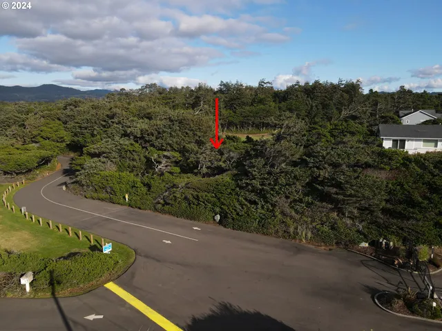 an aerial view of a residential houses