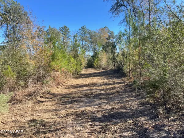 $300,000 | 0 Arrant Road, Westville, FL 32464