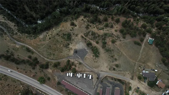 a view of a forest filled with trees