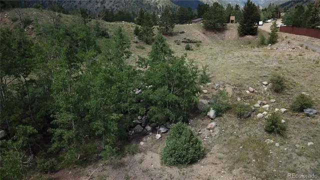 a view of a forest with a yard