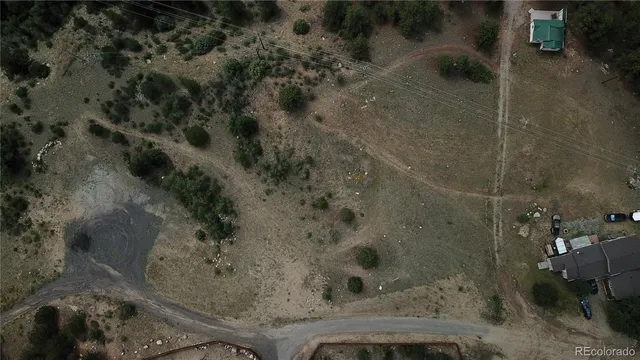 a view of a fire pit with large trees