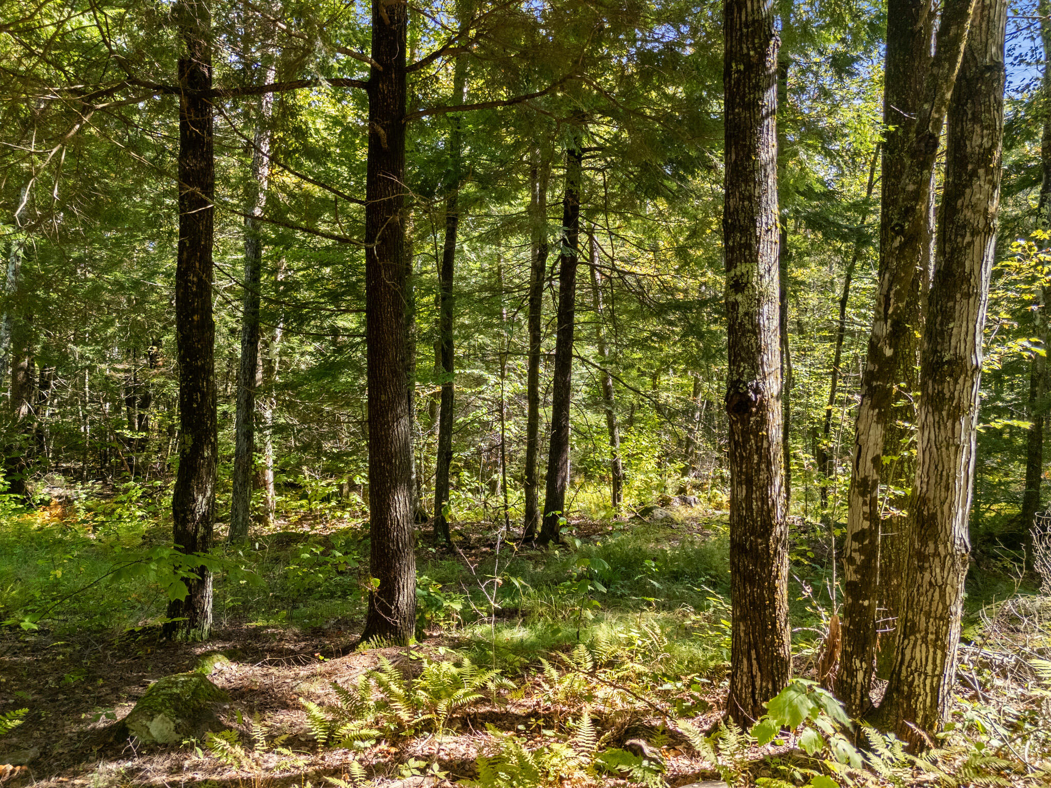 Lot #1 Millay Lane Union, ME 04862 - Photo 16 of 21 DJI_20250926132128_0383_D