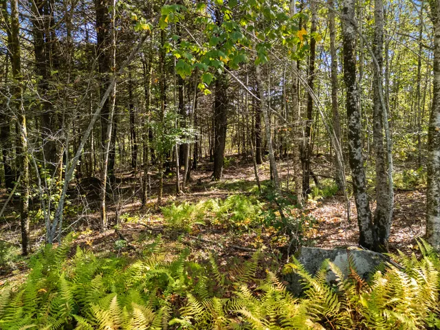 $85,000 | Lot #1 Millay Lane, Union, ME 04862