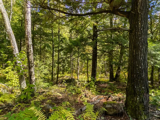 $85,000 | Lot #1 Millay Lane, Union, ME 04862