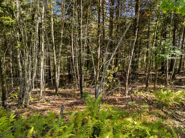 $85,000 | Lot #1 Millay Lane, Union, ME 04862