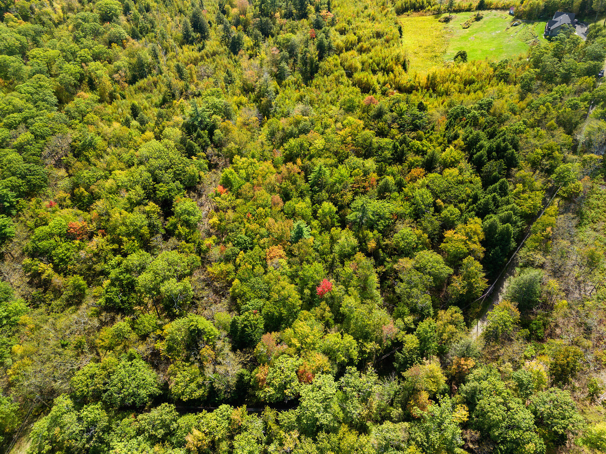 Lot #1 Millay Lane Union, ME 04862 - Photo 10 of 21 DJI_20250926124858_0202_D