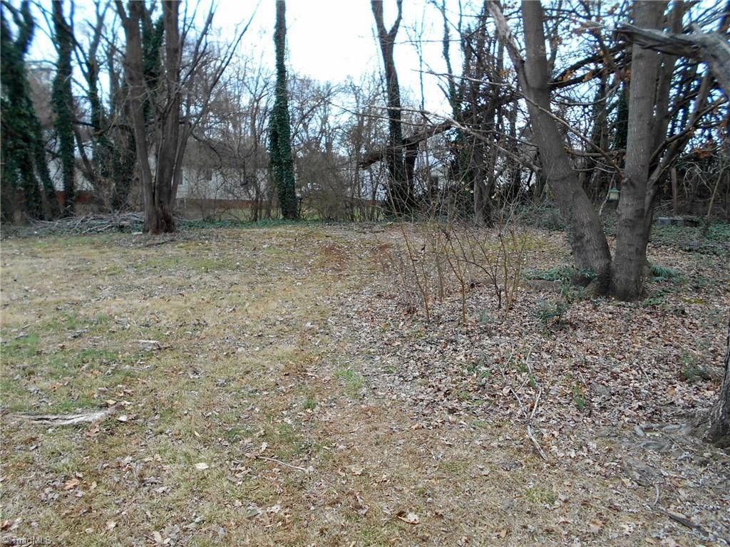 214 Model Farm Road High Point, NC 27263 - Photo 6 of 12 Back yard
