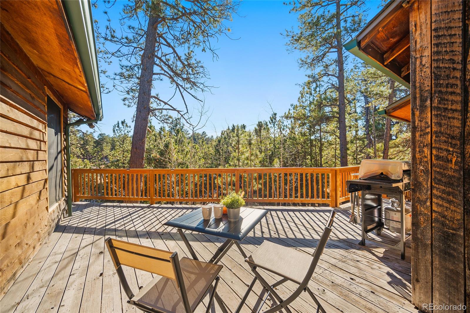 11855 Grandin Point Elbert, CO 80106 - Photo 23 of 50