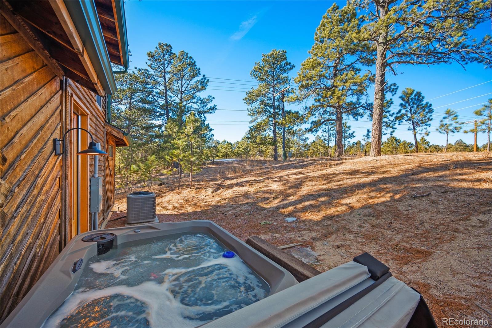 11855 Grandin Point Elbert, CO 80106 - Photo 34 of 50