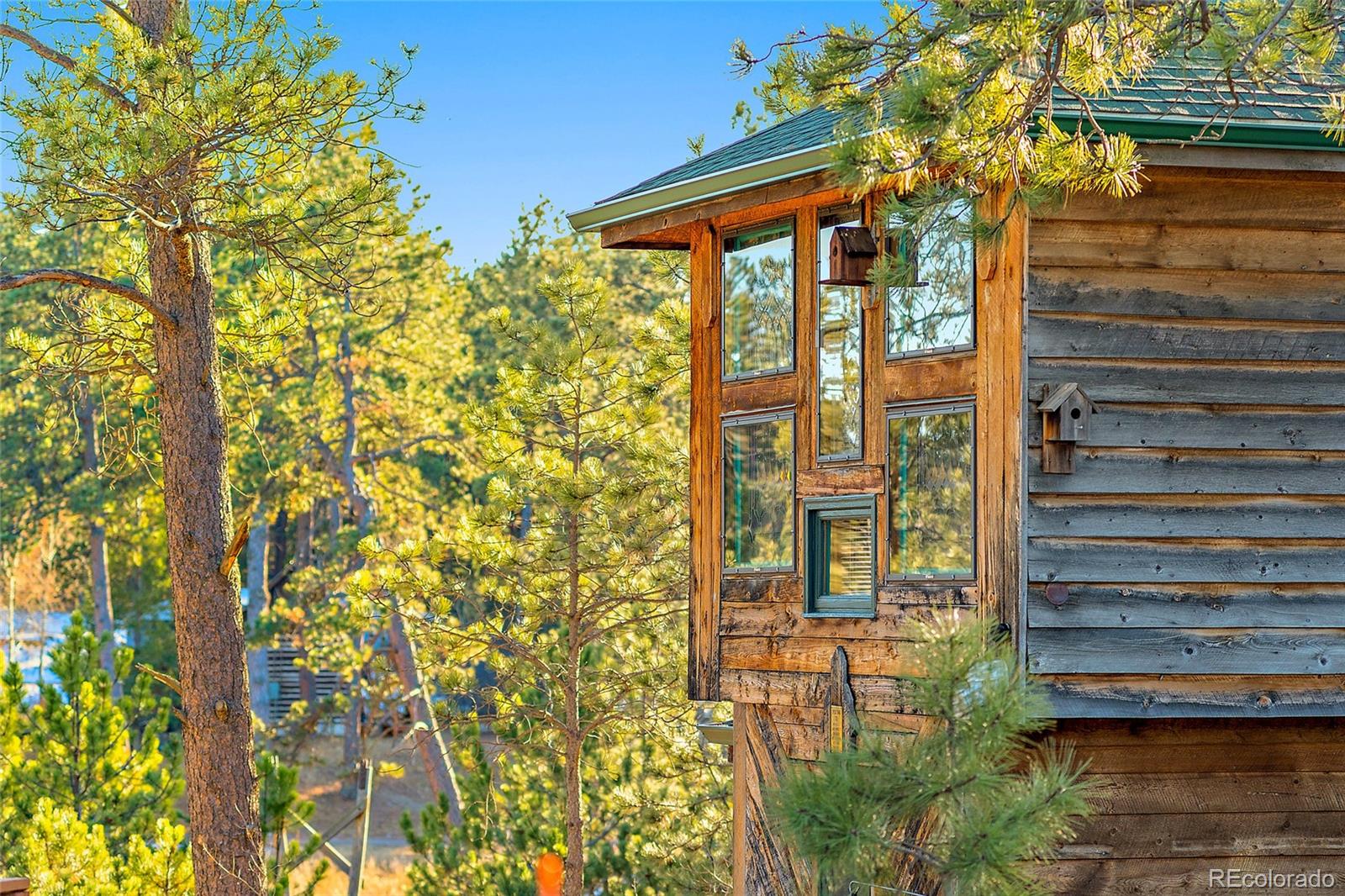 11855 Grandin Point Elbert, CO 80106 - Photo 35 of 50