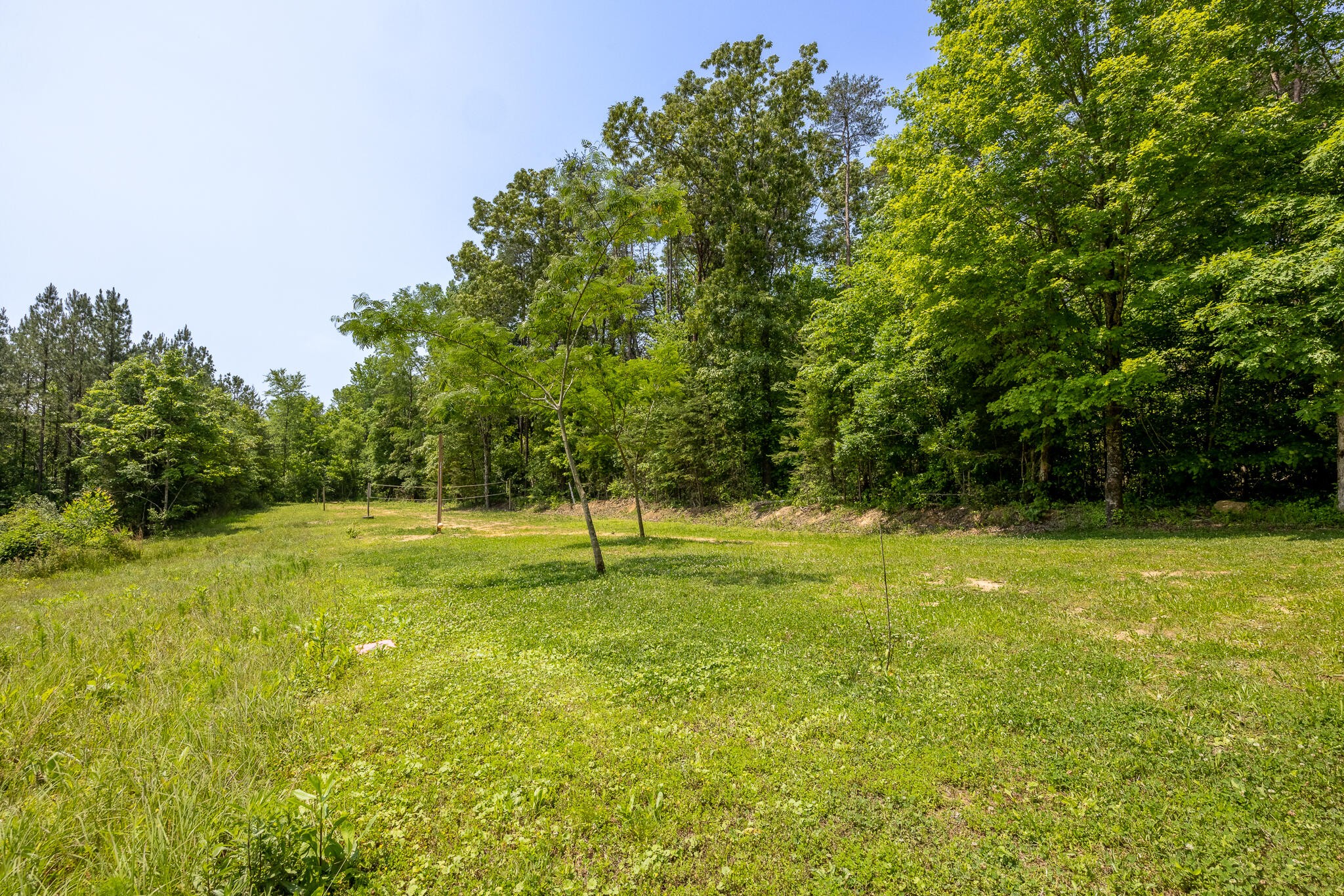 146 County Road 677 Riceville, TN 37370 - Photo 26 of 32 a view of a trees and basketball court