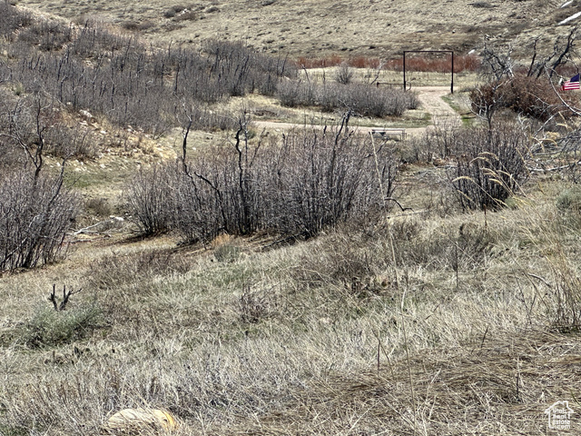 5565 Big Hollow Road Fairview, UT 84629 - Photo 14 of 22