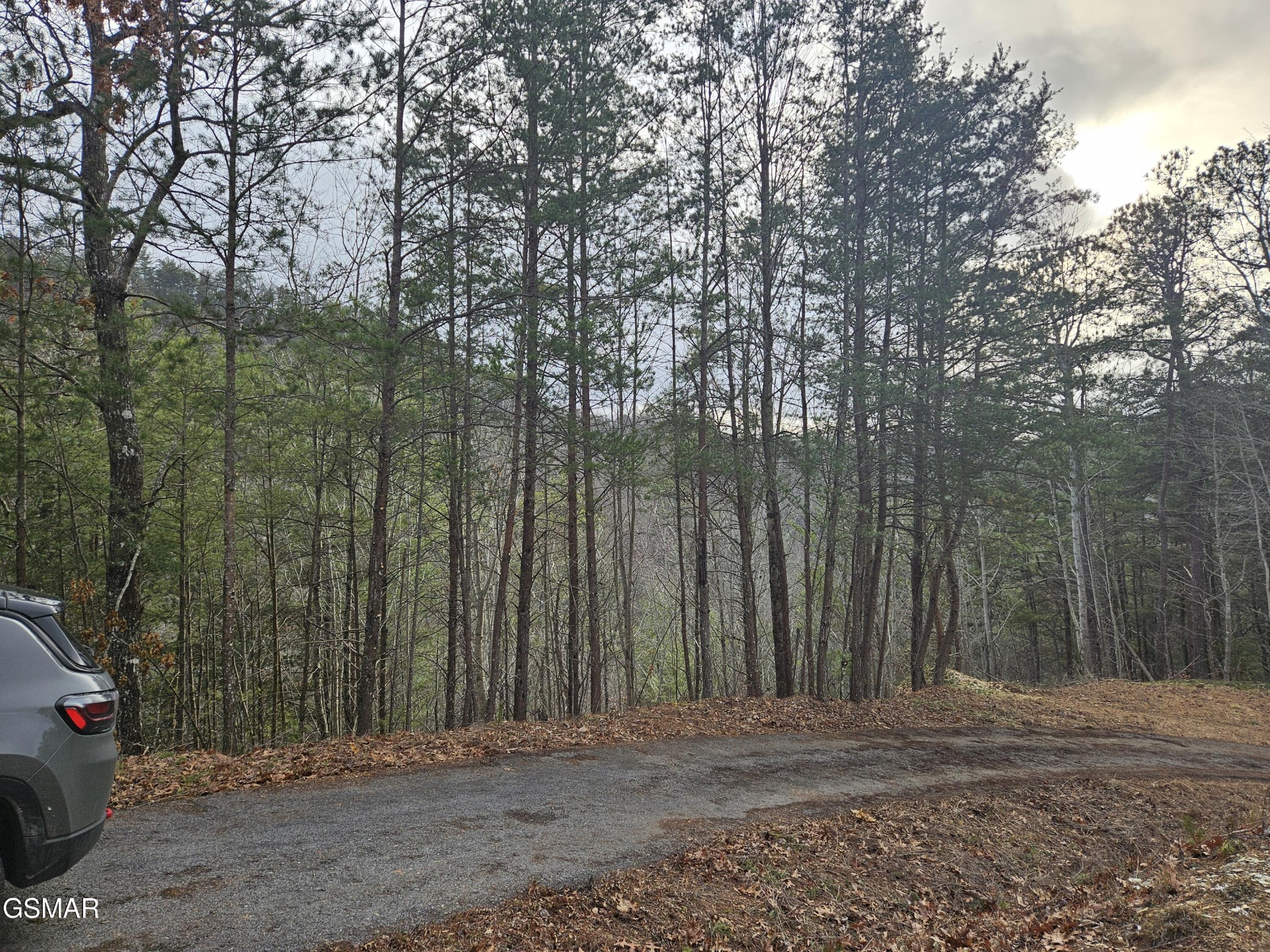 0 South Clear Fork Road Sevierville, TN 37862 - Photo 5 of 30 Gallery Image 5