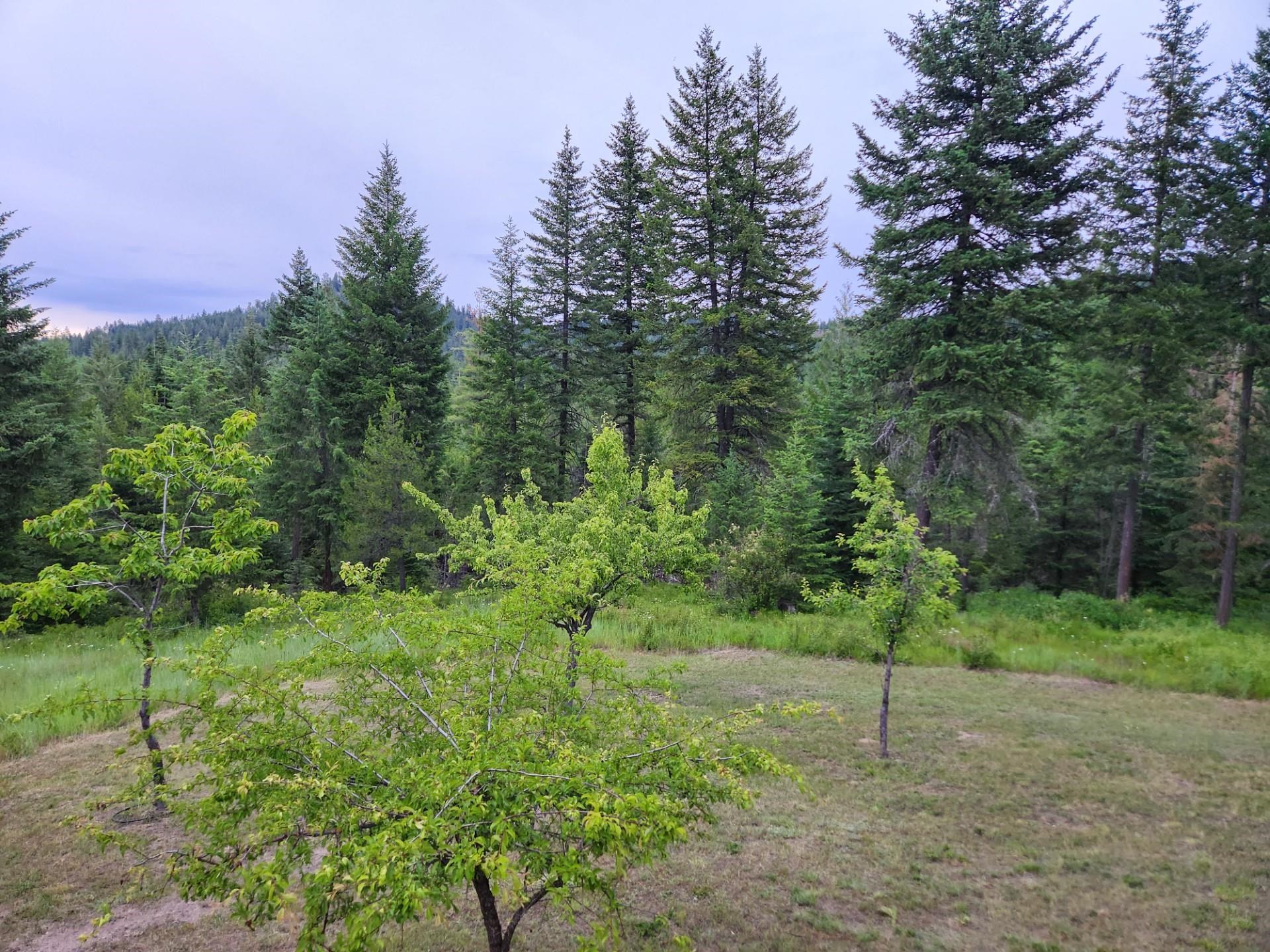 852 Balcom Road Newport, WA 99156 - Photo 46 of 47
