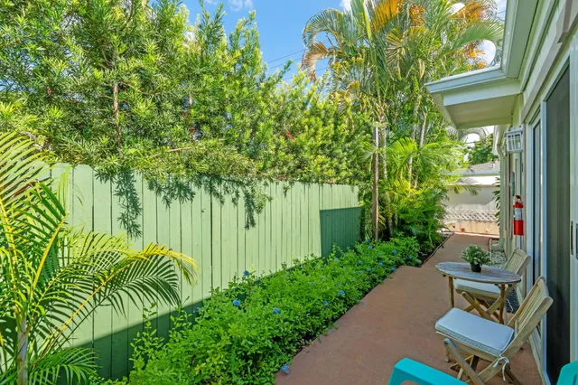 a view of a backyard with plants