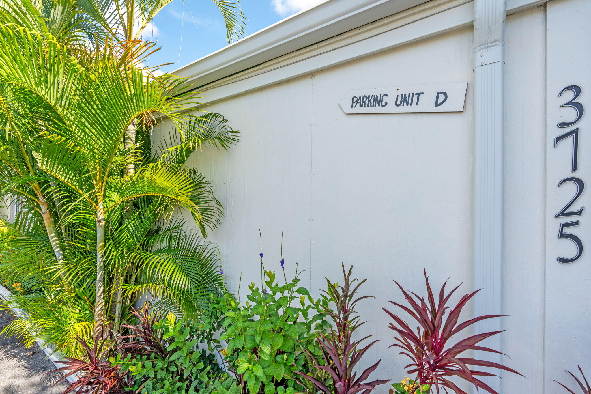 3725 South Olive Avenue, Unit A West Palm Beach, FL 33405 - Photo 7 of 35 a close up of a plant