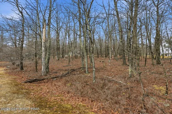 a view of empty room with trees