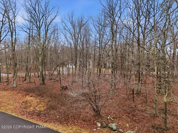 a view of covered with trees