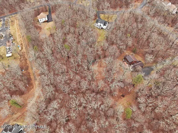 a close up of a plant