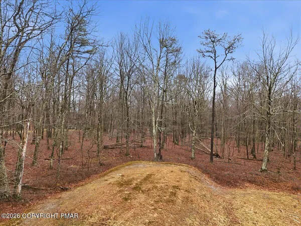a view of outdoor space with trees