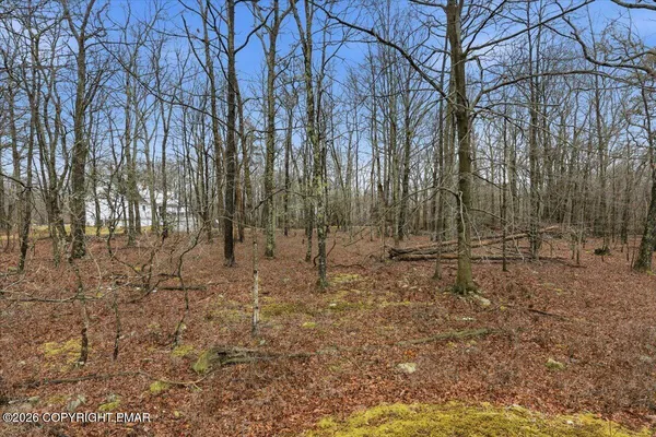 a view of empty room with trees