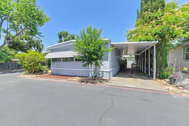 a view of a house with potted plants and a large tree