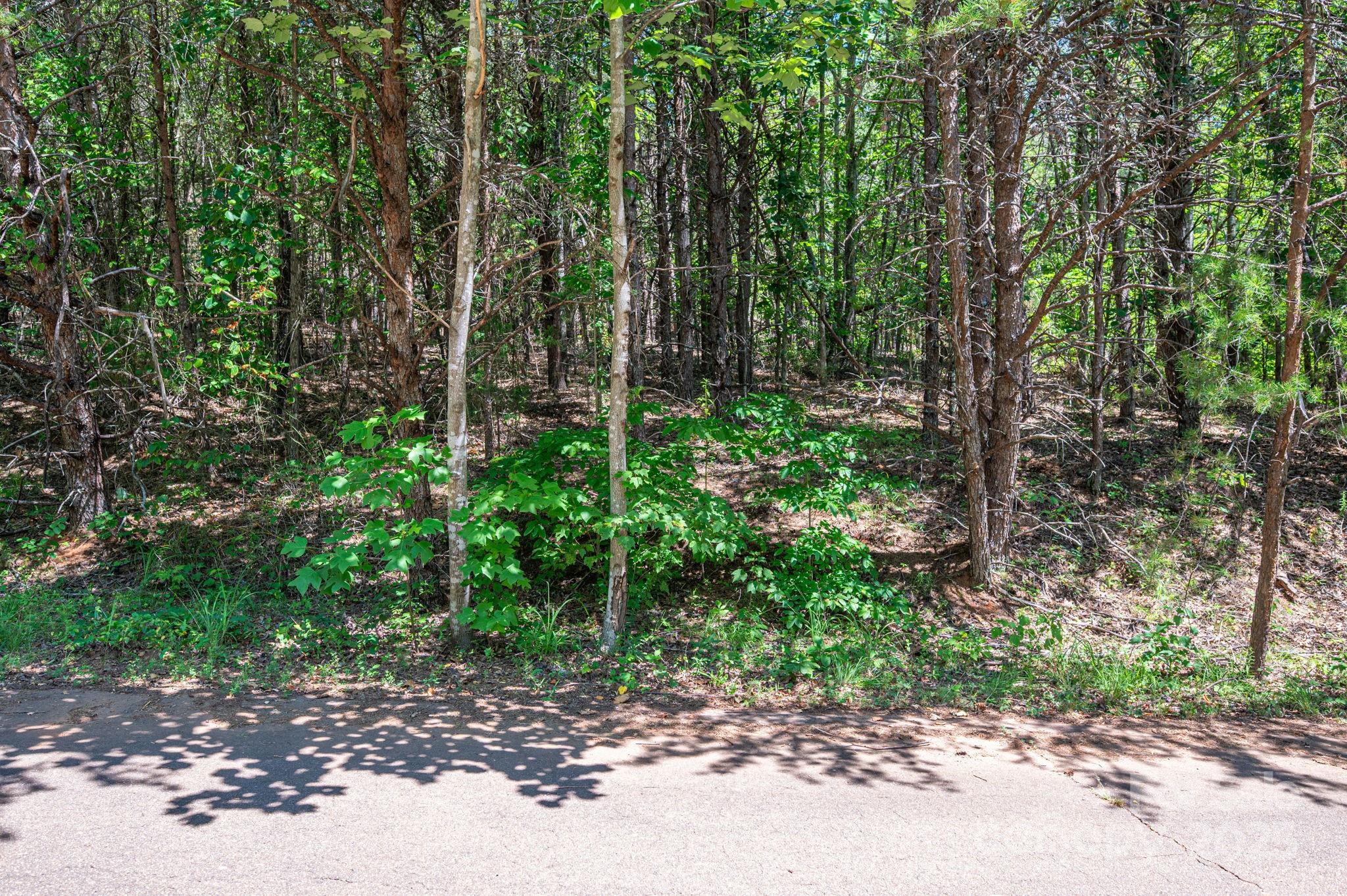 Lot 10 Meadow Crossing Drive Rutherfordton, NC 28139 - Photo 6 of 10 a backyard of a house with lots of green space