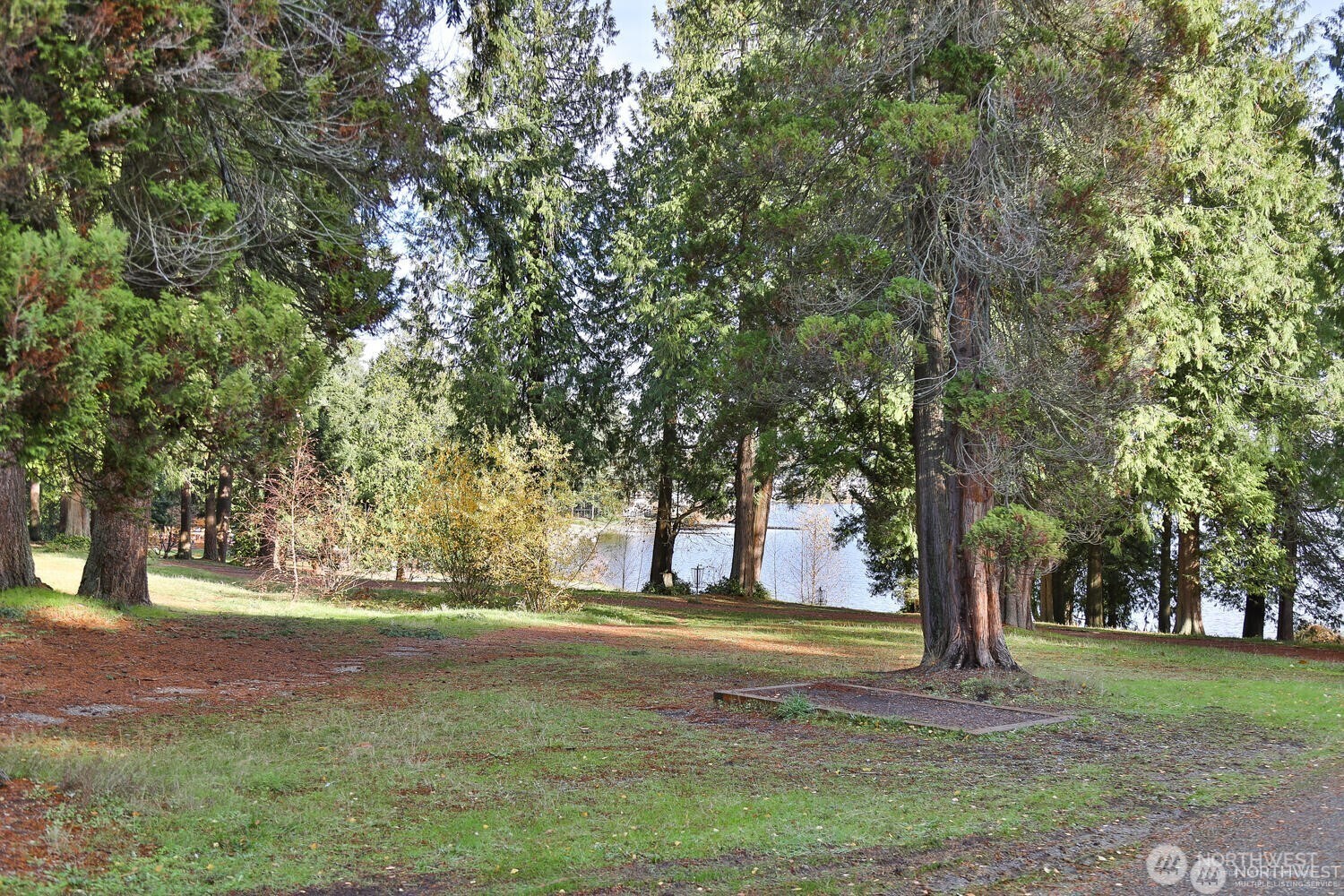 11622 Silver Lake Road, Unit 20B Everett, WA 98208 - Photo 36 of 38 a view of yard with tree s