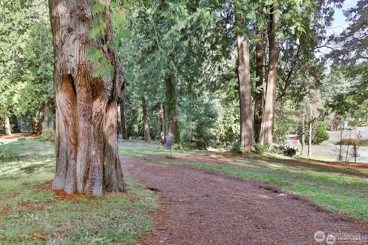 11622 Silver Lake Road, Unit 20B Everett, WA 98208 - Photo 37 of 38 a backyard of a house with lots of green space