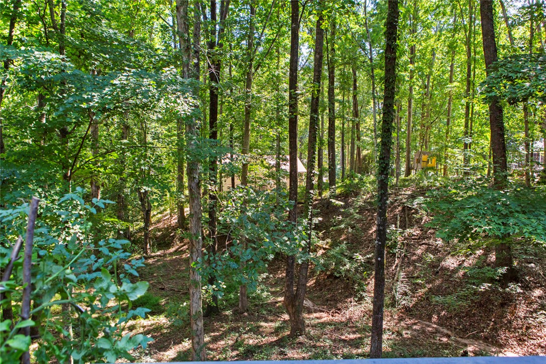 426 South Cove Road Seneca, SC 29672 - Photo 29 of 39 Back Yard.