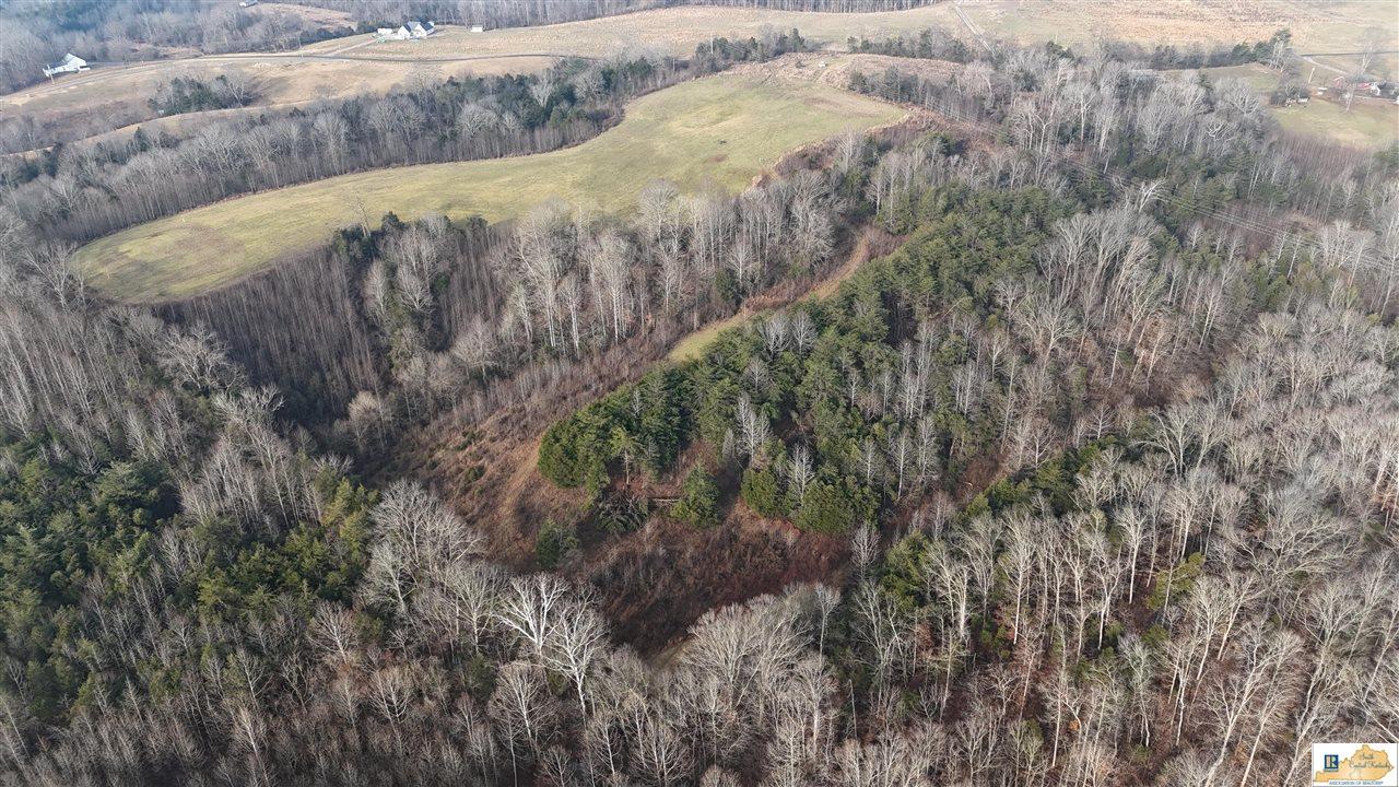 0 Cedar Flat Curtis Road Edmonton, KY 42129 - Photo 9 of 77 Gallery Image 9