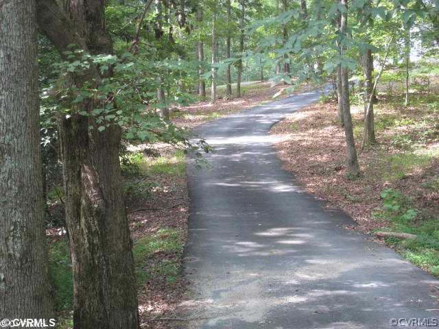 11511 Winterpock Road Chesterfield, VA 23838 - Photo 12 of 12 a view of a yard with plants and trees