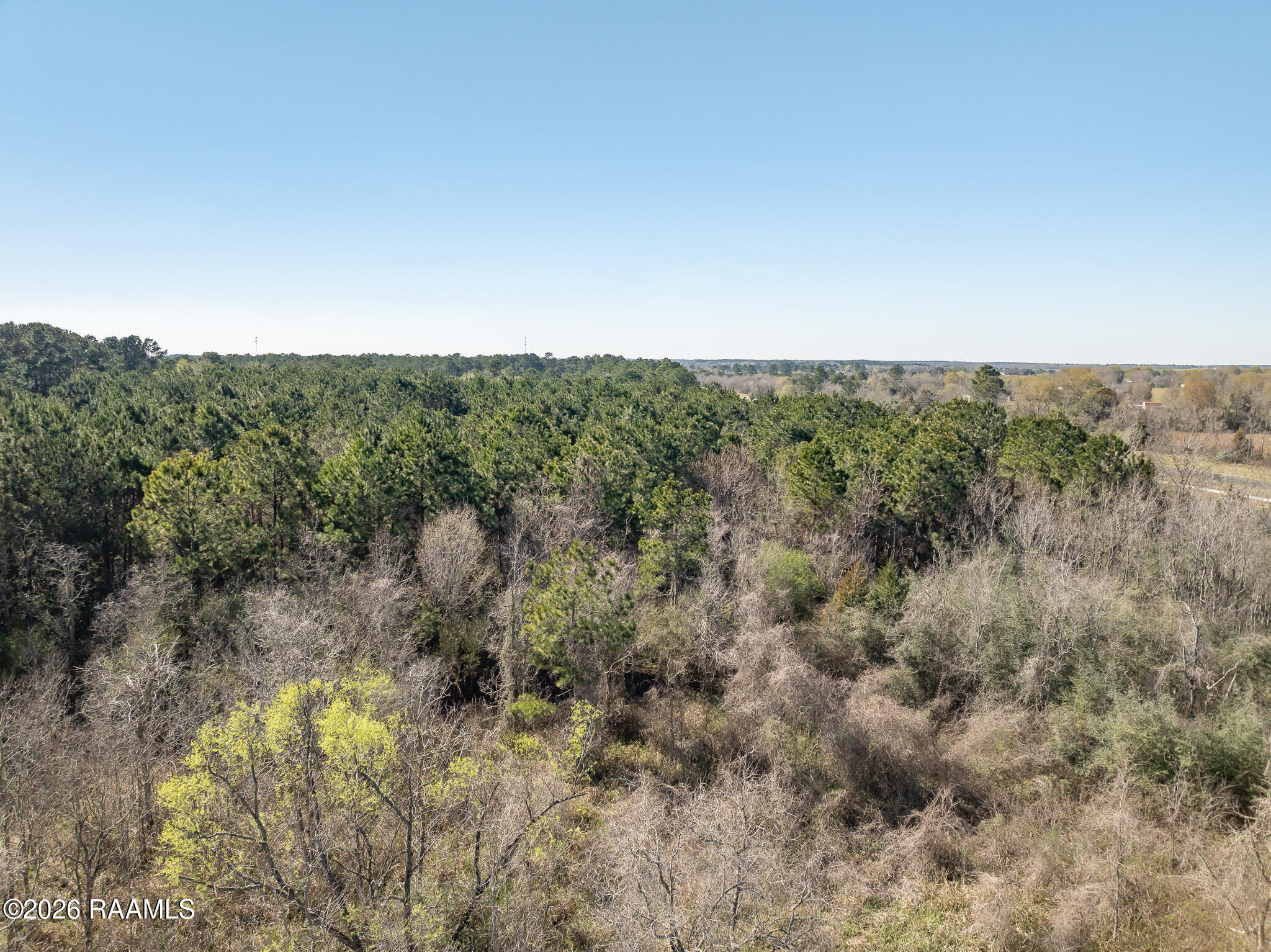 0 Plant Road Egan, LA 70531 - Photo 14 of 22 DJI_0846