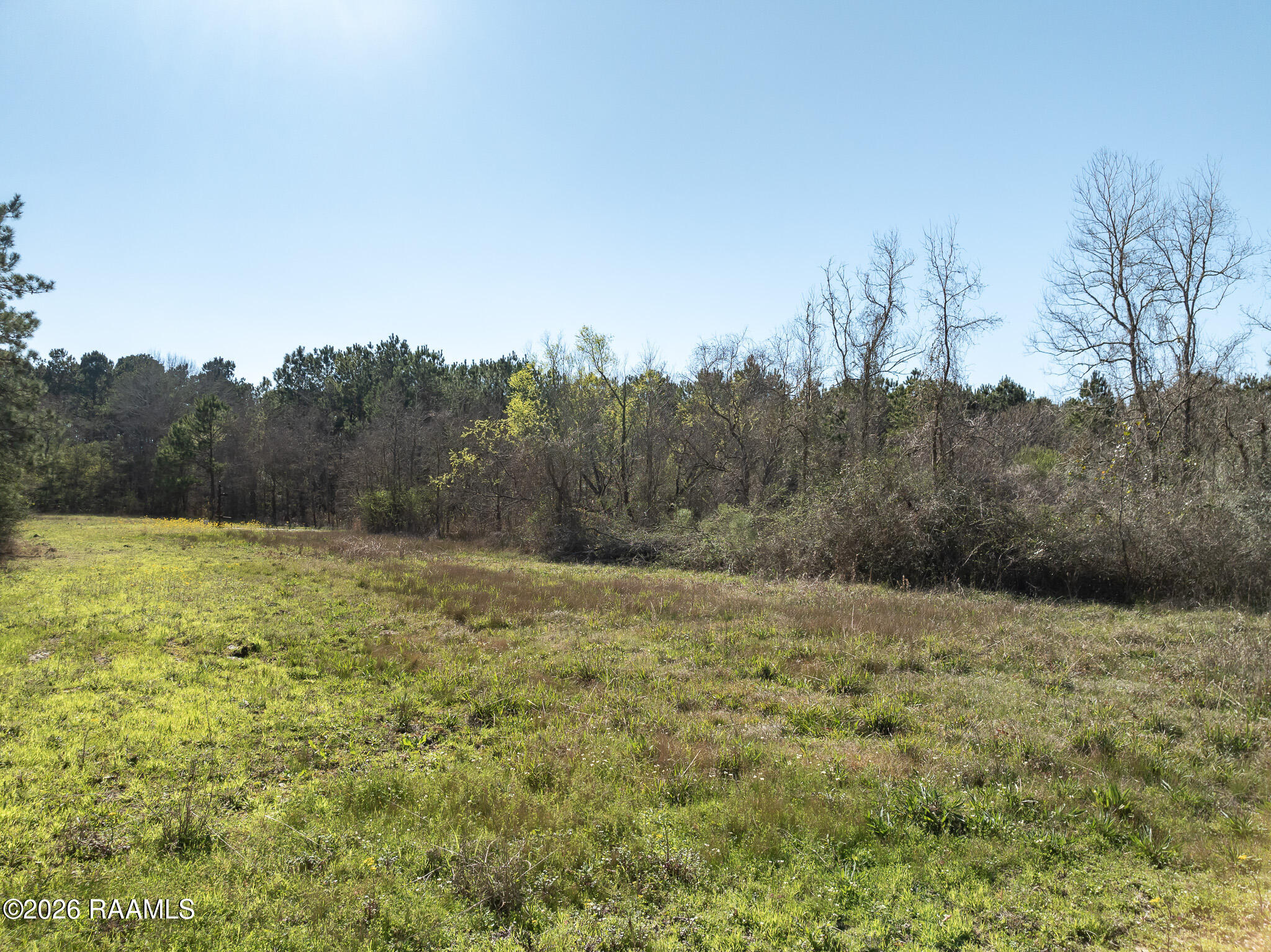 0 Plant Road Egan, LA 70531 - Photo 17 of 22 DJI_0849