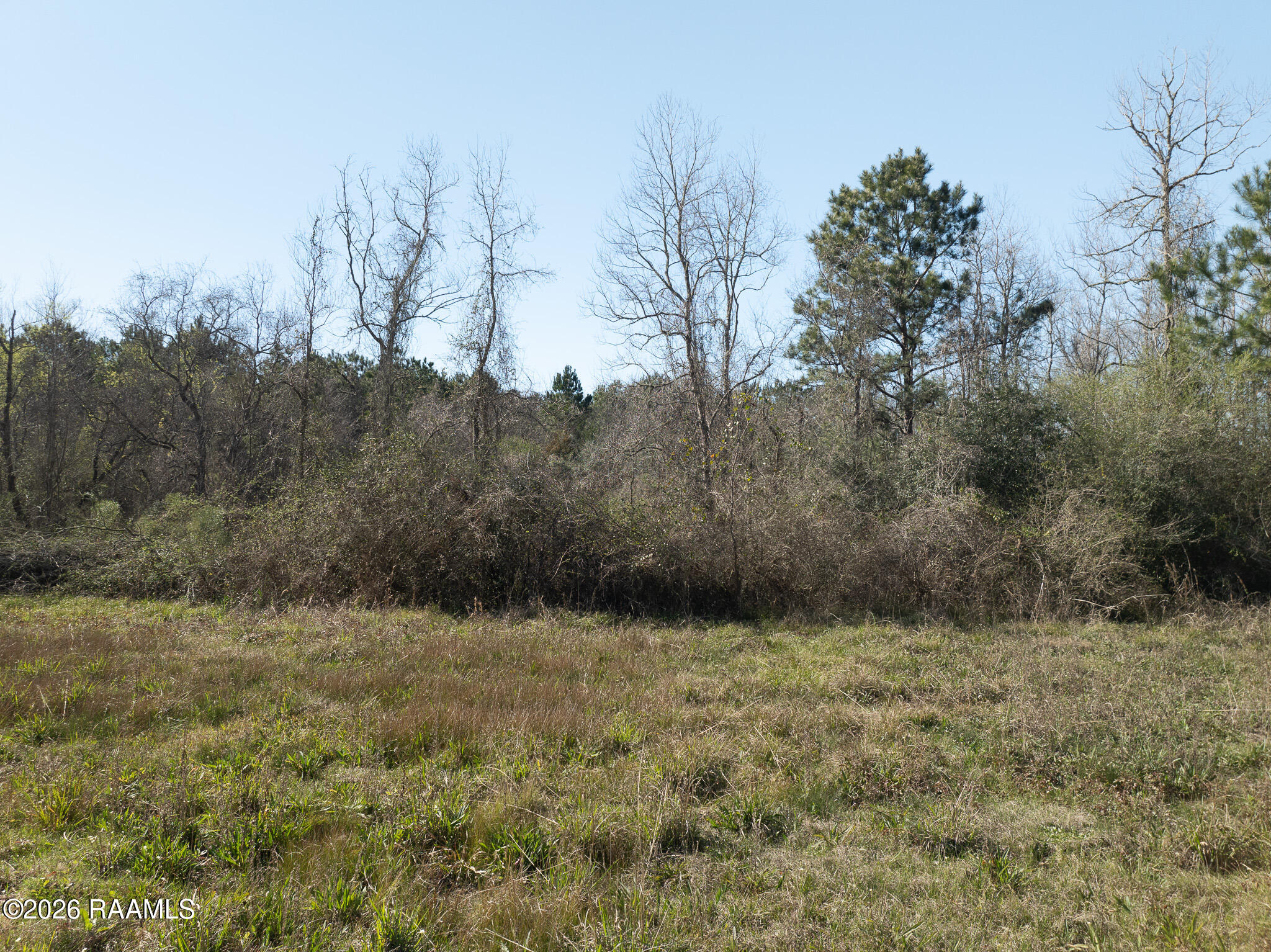 0 Plant Road Egan, LA 70531 - Photo 18 of 22 DJI_0850