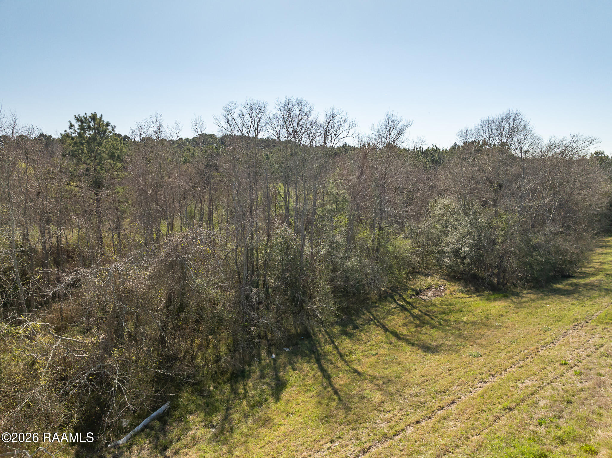 0 Plant Road Egan, LA 70531 - Photo 19 of 22 DJI_0852
