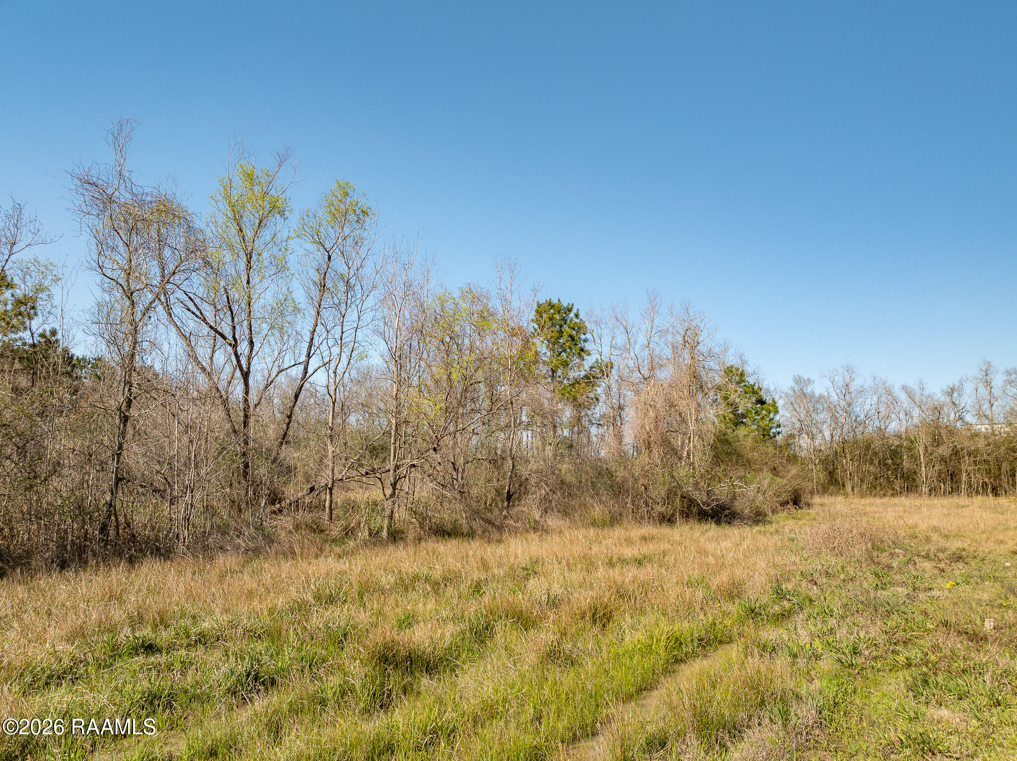 0 Plant Road Egan, LA 70531 - Photo 20 of 22 DJI_0858