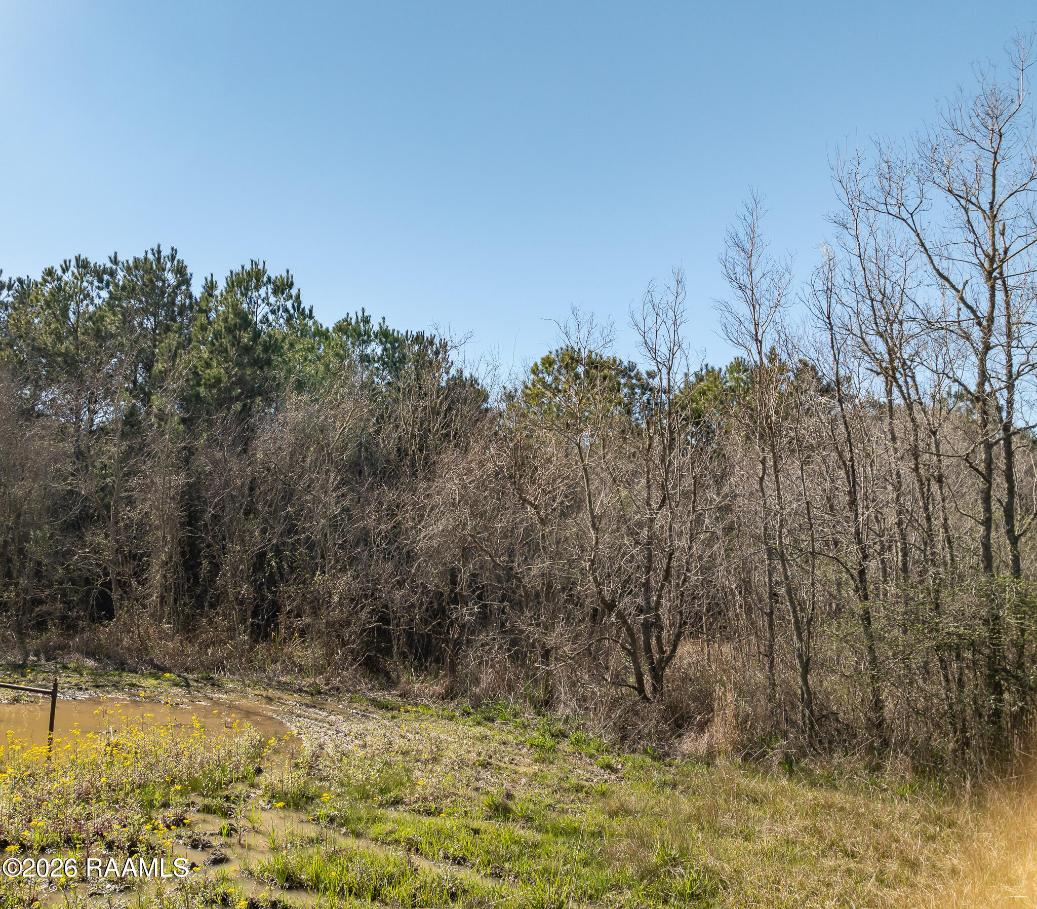 0 Plant Road Egan, LA 70531 - Photo 2 of 22 DJI_0857